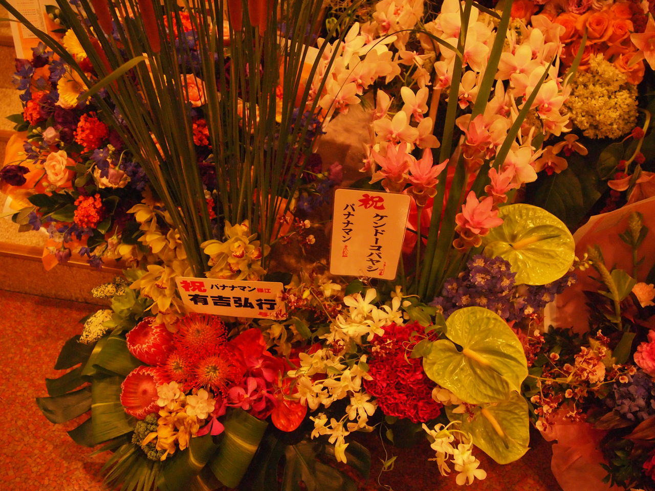 憧れ負けには敵わない 8/5 bananaman live2011「emerald music」at六本木俳優座