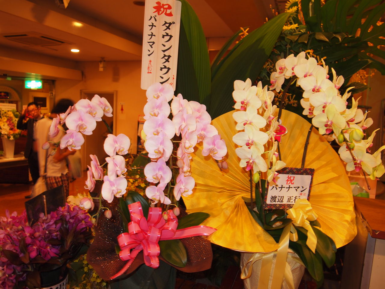 憧れ負けには敵わない 8/5 bananaman live2011「emerald music」at六本木俳優座