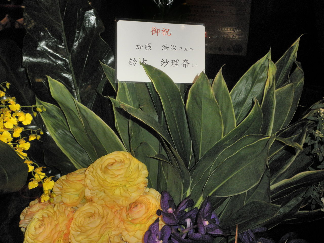 2 22 23 イルネス共和国 全三公演 At 銀座博品館劇場 追記有 憧れ負けには敵わない 2 22 23 イルネス共和国 全三公演 At 銀座博品館劇場 追記有 憧れ負けには敵わない