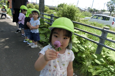 CIMG8609