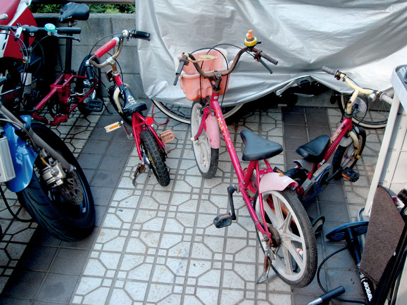 自転車 こげ ない 5 歳