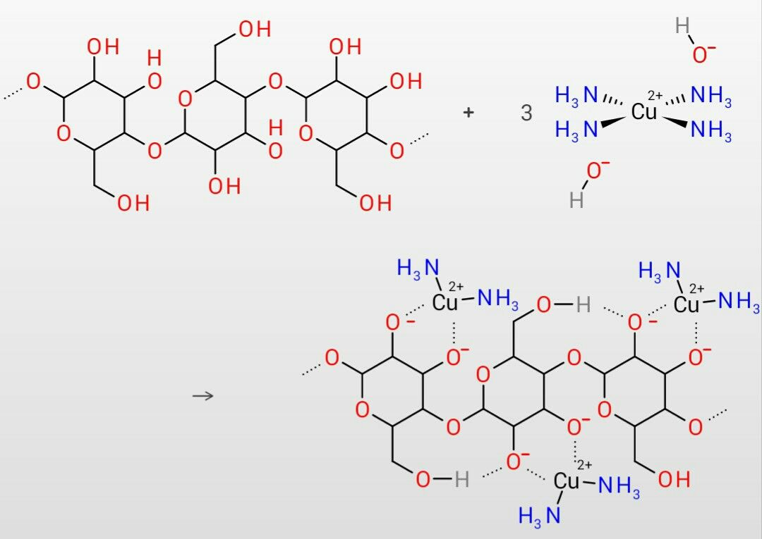 紙を溶かす試薬 この世を科学的に知ろう