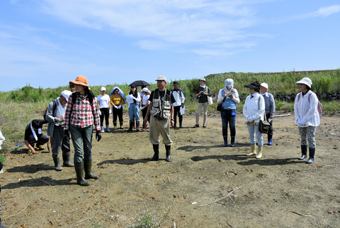 松川浦 大洲海岸の植物調査