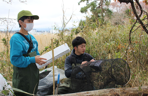 春！　今年もウシガエル駆除がスタート