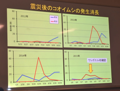 ⑤　コオイムシの発生消長