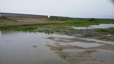 植林地との間には移行帯の斜面が