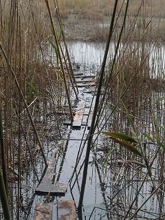 toppage_image029