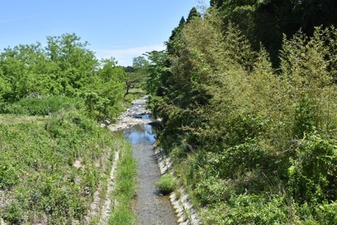 DCBB339A-AB36-4C59-92F2-0CFB0C07681F