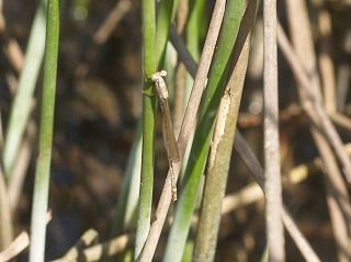 toppage_image032