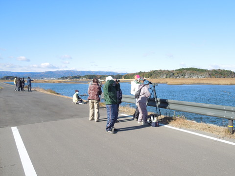 野鳥観察会報告
