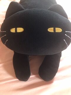 黒猫クッションを買って君もステラちゃんになろう 水樹奈々さんが生き甲斐