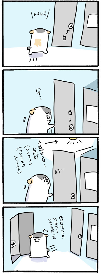 5520C62F-8C26-402F-9A17-4443268D1F79