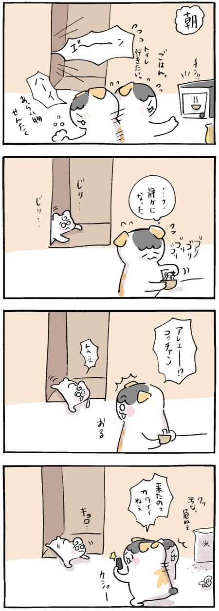 8E942EAE-80D5-478C-B1A8-4213FD5E11A8