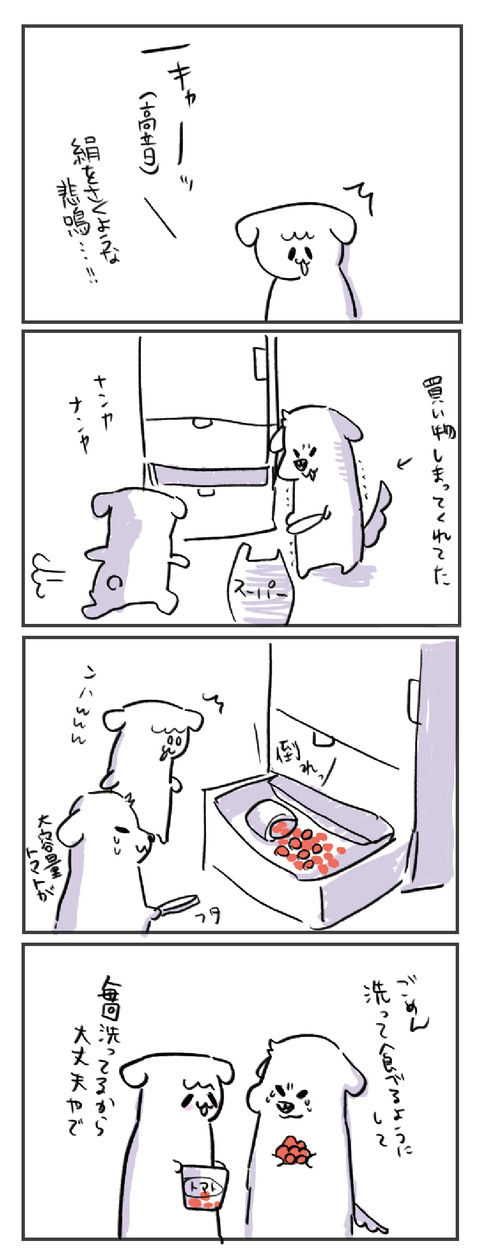 C0775DCC-DD35-4C8D-92E9-29D73DE61FD0