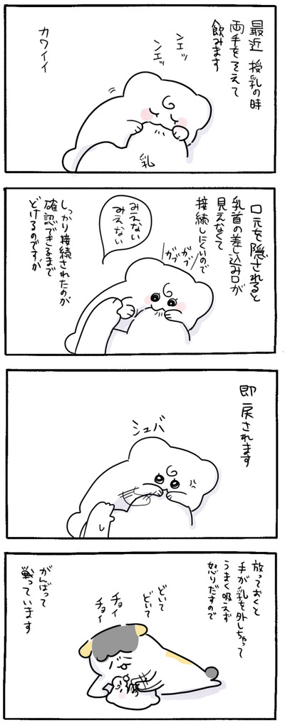 5EF068BD-CAAD-474E-A24D-6ECAD80E600B