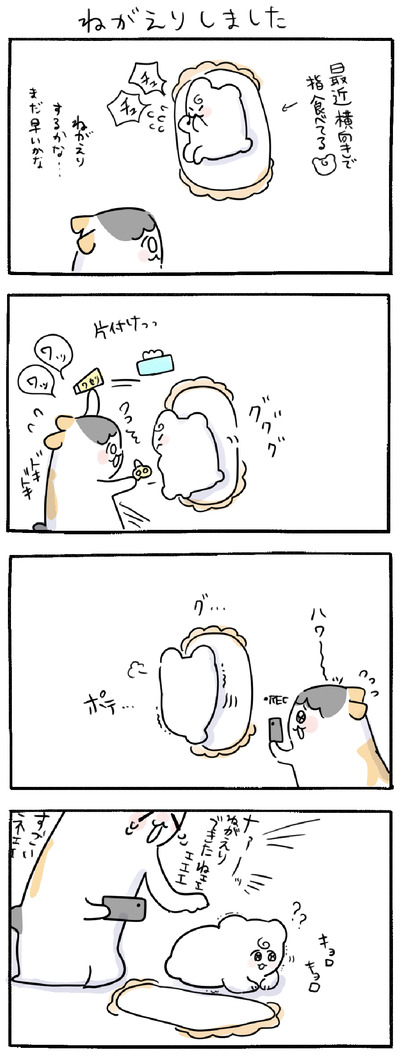 978B2F9D-1158-4CD5-ABA2-AC8A54C81F85