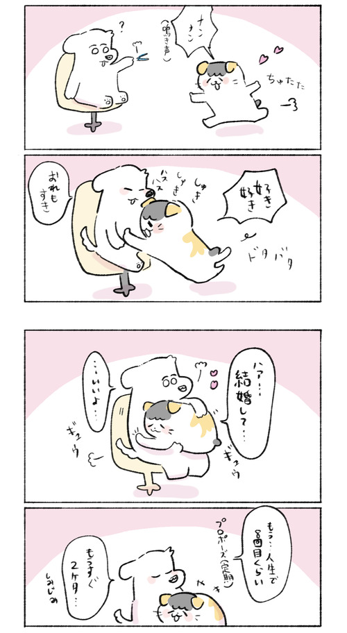 E3AFFFCC-0501-4604-940C-B59BCD862820