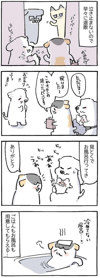 1B85872A-5896-432B-AE12-D49B929D3DAC