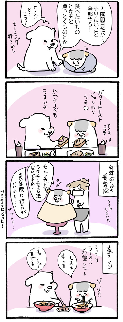 C2DEA15D-4C86-405F-89A7-C0E9D132B103