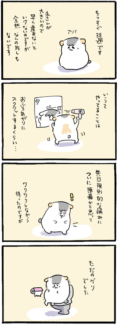 E349DD4B-4C42-42FE-86C6-D2C5D445F8D4