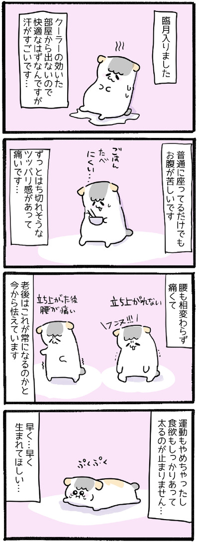 8D1BB709-111C-4046-845C-AECACD59C76B