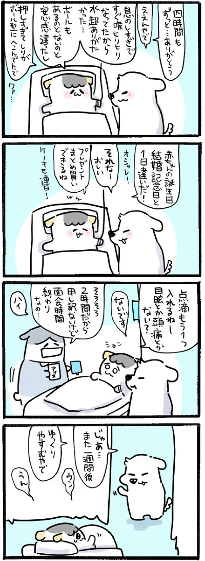 85C96CD9-D2DD-4619-95B1-E46DDA7DF66E