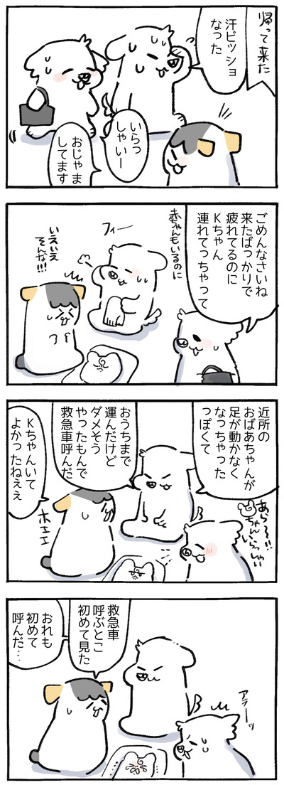 21F6858C-20EB-42D6-8A28-FDDBE5A596A3