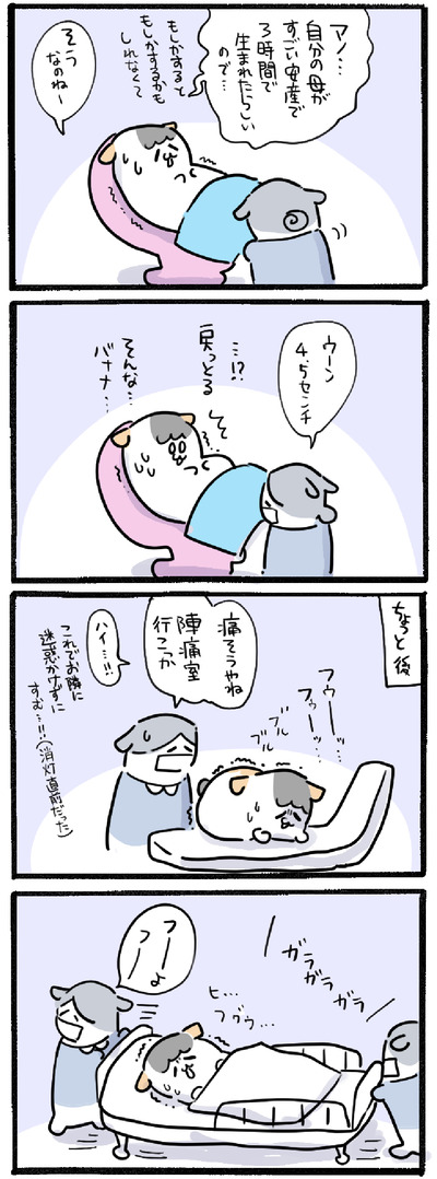 20360010-AF2E-418F-92C6-EB39323E6970