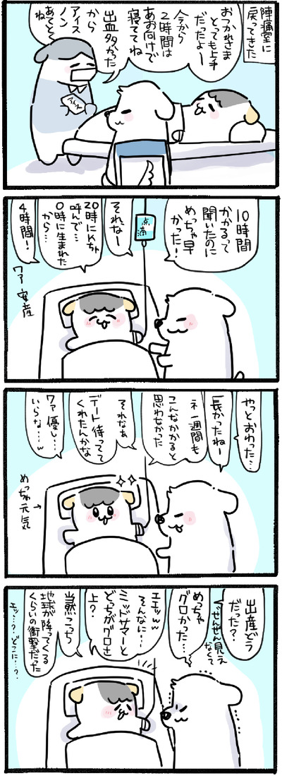 D24D90FF-019D-4C4C-B4A6-E71A4008C080