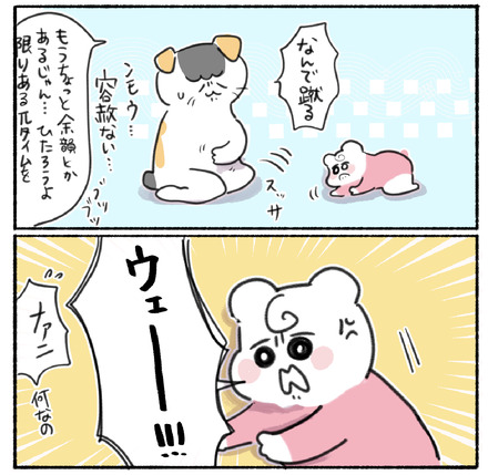51A7E5B1-FBAB-4A4C-998B-12C28074878E
