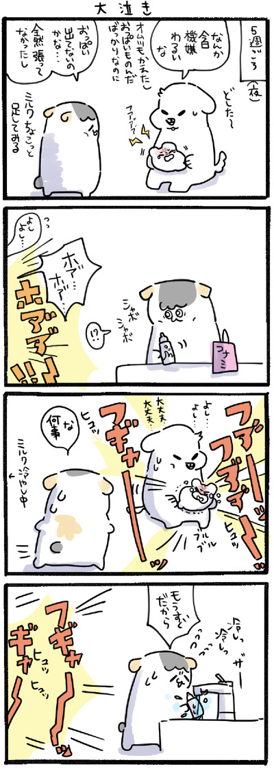 7C1EA66D-172C-4F4D-B328-6B9A14FBBBD6