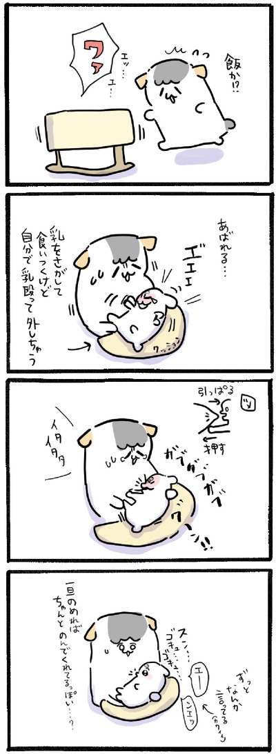 2C55BB1B-EC43-4B62-98A7-403C9415BA14