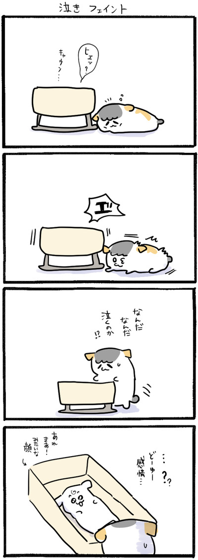 858BA9D5-A425-4478-8A3F-1C74F0DC8EC2