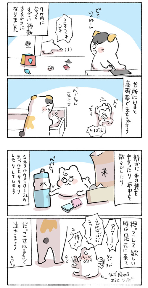1F0B1F3A-83EA-4D83-A42A-D33DC55B3D34