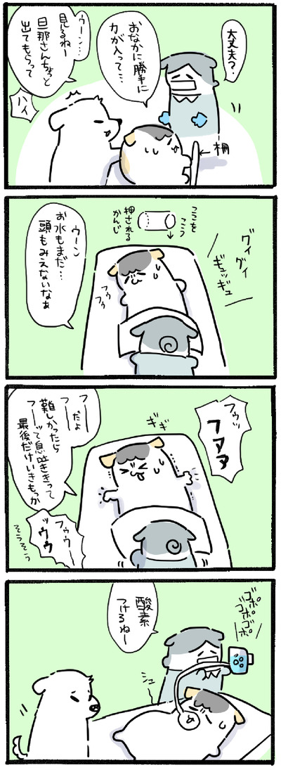EA2D6C17-3F23-41C0-BF43-6286C67FEAD0