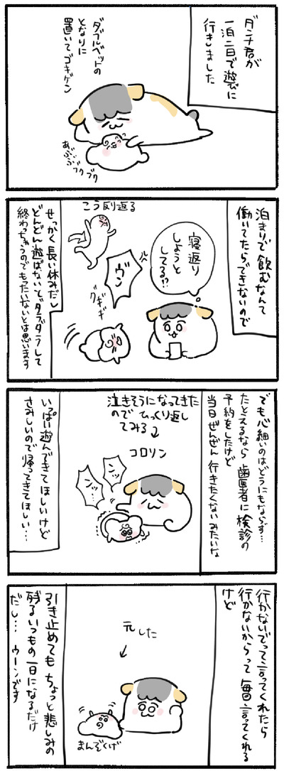 00CFBB0C-A305-4362-A1F4-A03C03B03E27