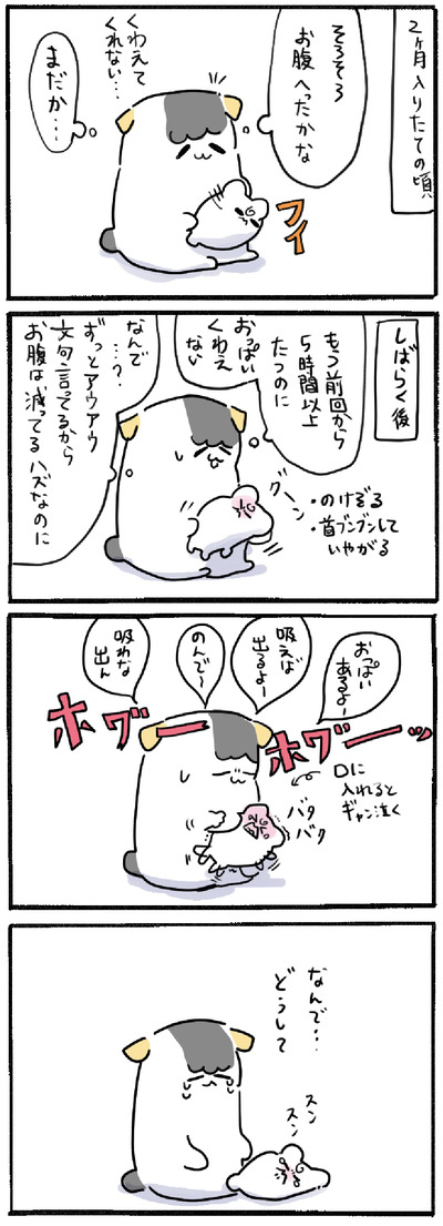 6E372C01-9CF0-4AE8-9275-D0ED96ACDB44