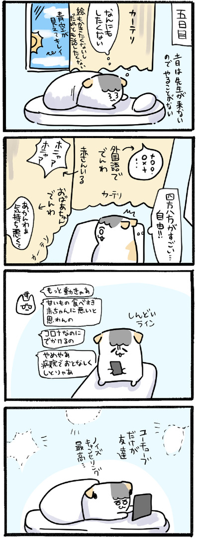 80E95DAC-EF1E-41F8-B540-AB9073938726