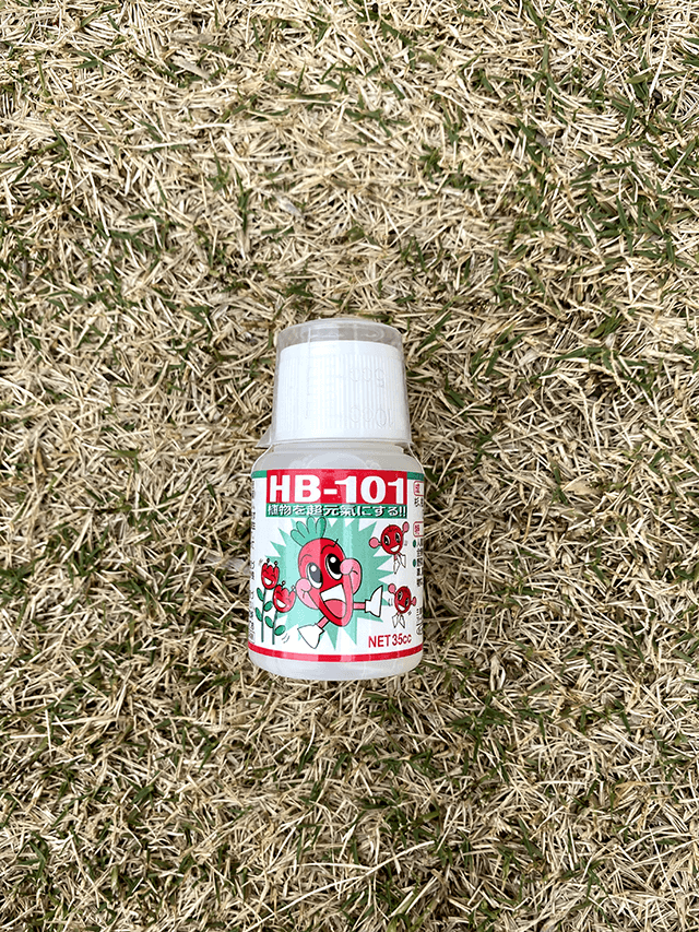 いちごのプランター栽培 液肥の実験してみました いちごのプランター栽培 液肥の実験してみました いちごのプランター栽培 液肥の実験してみました いちごのプランター栽培 液肥の実験してみました