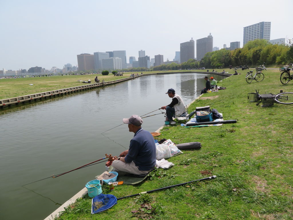 もうヘラブナ釣れる ４月の大田区六郷ひょうたん池 暮らしのノートito