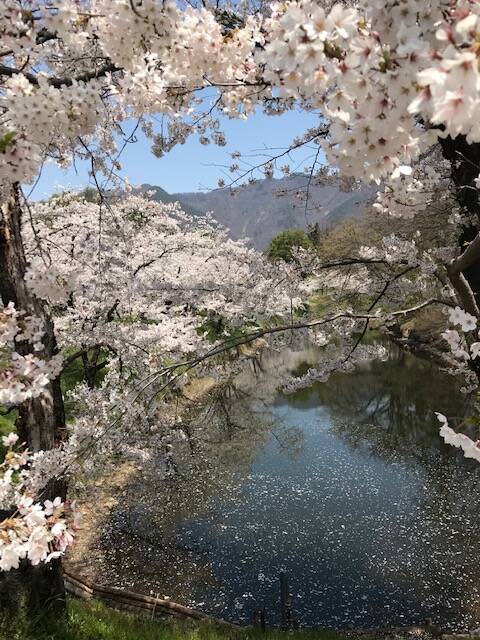 詩小説 コント ポエム 上田城の花幻影 急 伊藤昭一 暮らしのノートito