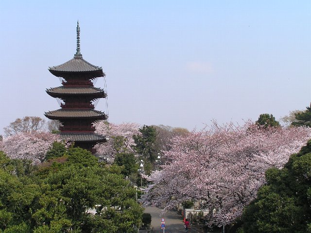 暮らしのノートITO
	  桜満開！五重塔と万両塚＝東京・池上本門寺（アーカイブ記事）
	コメント