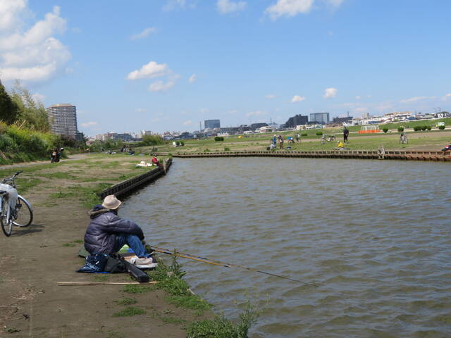 無料の釣り穴場 六郷ひょうたん池の4月 東京 大田区 暮らしのノートito