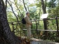 ����õ��������