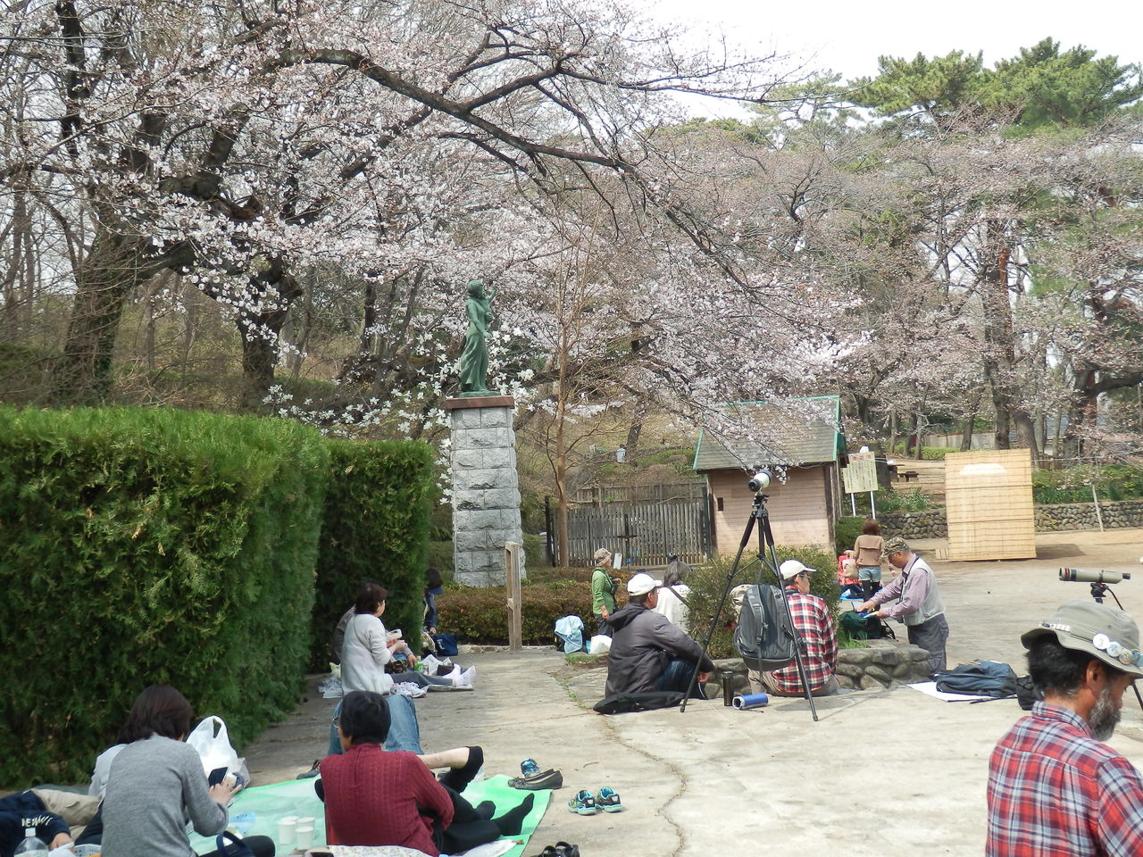 花見人で混雑しない桜の名所 多摩川台公園と田園調布 アーカイブ 暮らしのノートito 花見人で混雑しない桜の名所 多摩川台公園と田園調布 アーカイブ 暮らしのノートito