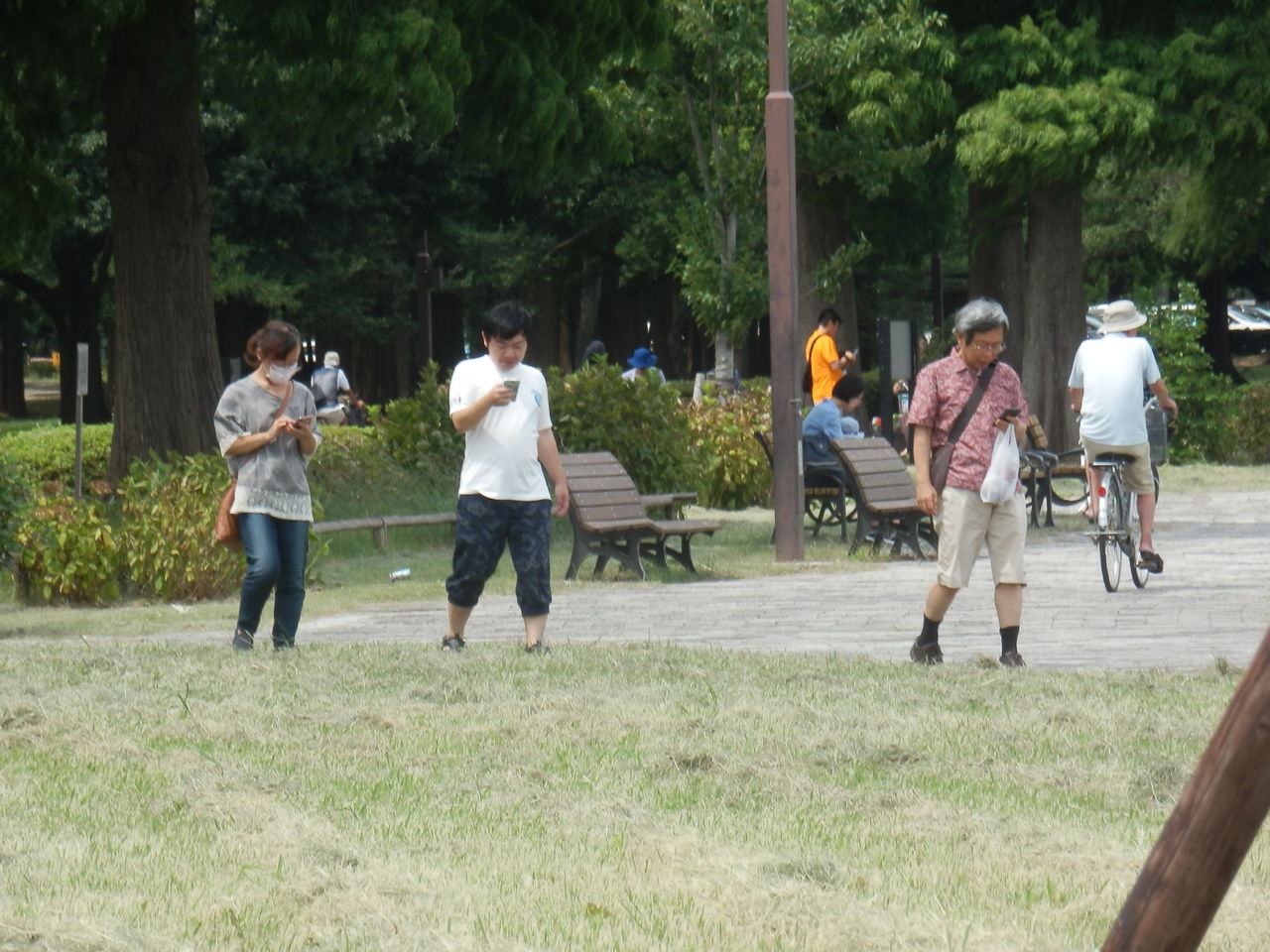 ポケモンgoの捕獲スポット水元公園 東京 暮らしのノートito