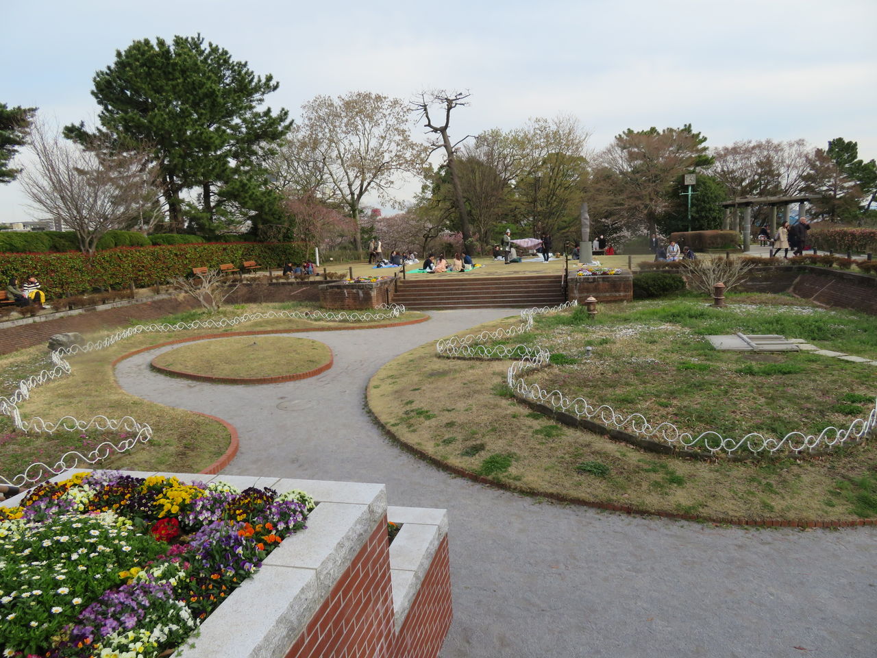 多摩川台公園の18年3月24日 お花見に少々花びら散る 暮らしのノートito