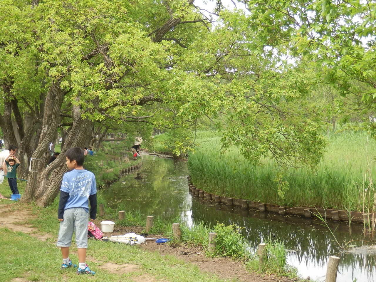 水元公園のgw15釣り人風景を眺める 暮らしのノートito 水元公園のgw15釣り人風景を眺める 暮らしのノートito