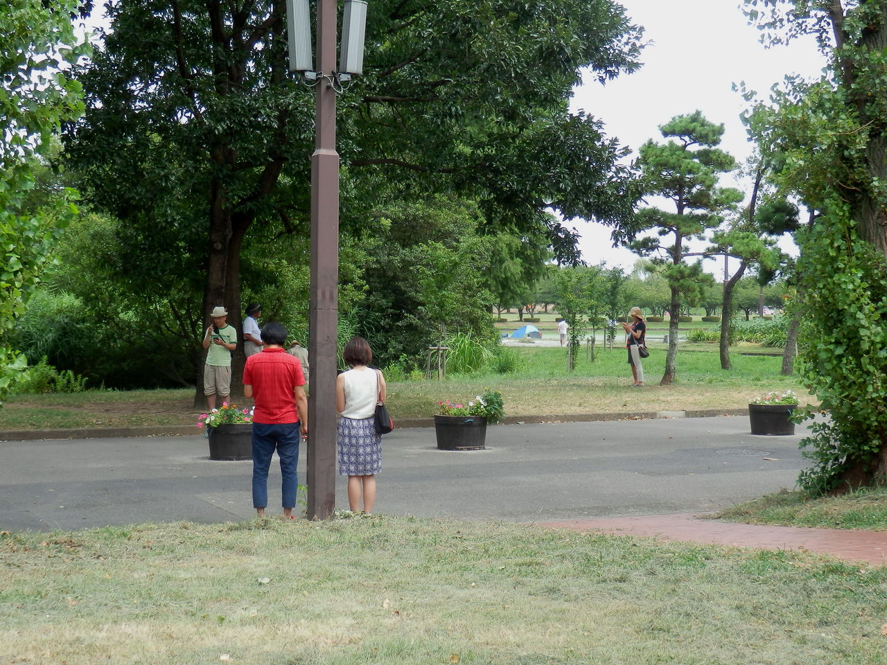 ポケモンgoの捕獲スポット水元公園 東京 暮らしのノートito