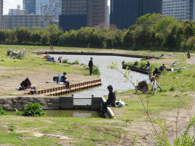 無料の釣り穴場 六郷ひょうたん池の4月 東京 大田区 暮らしのノートito